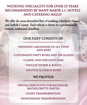 Wedding Specialists for Over 25 Years