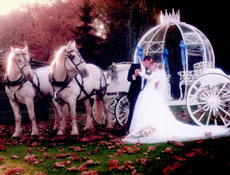 Photo - Bride and Groom with Horses and Carriage