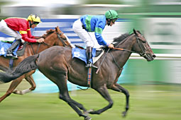 Photo - Horse Racing